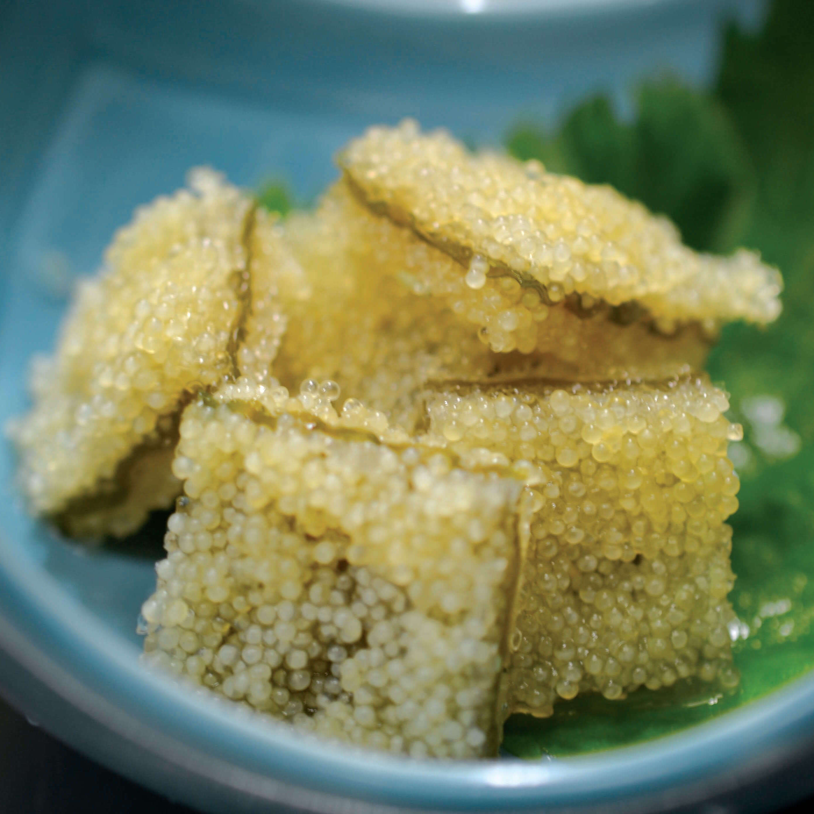 （画像用） [HR-23] 味付け子持ち昆布 [だし醤油味] 150g