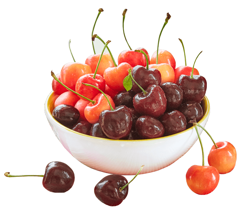 （画像用） [AM-03] フレッシュアメリカンチェリー・大粒ダーク種 ＆ 大粒レイニア種 （ワシントン州/オレゴン州産）各500g X 1