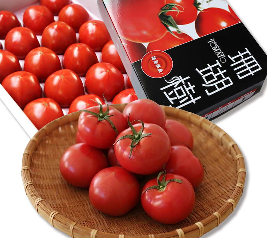 （画像用） [MF-04] 母の日 / 父の日ギフト 徳島産「珊瑚樹トマト」特選（糖度8〜10°）